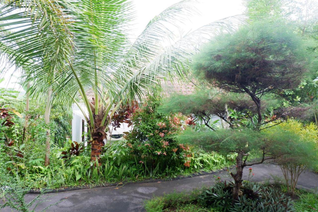 Arya Resort Nusa Penida Toyapakeh Экстерьер фото